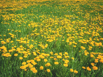 Similar image 11142579