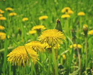 Similar image 11142601