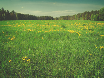 Similar image 11142603