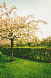 Similar image 11142642