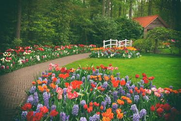 Similar image 11142699