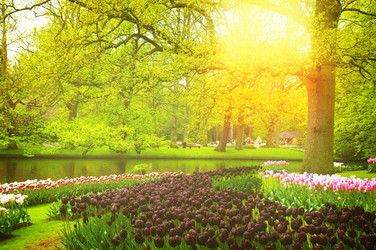 Similar image 11143616