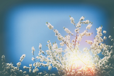 Similar image 11143639