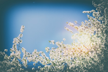 Similar image 11143702