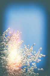 Similar image 11143703