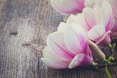 Similar image 11143704