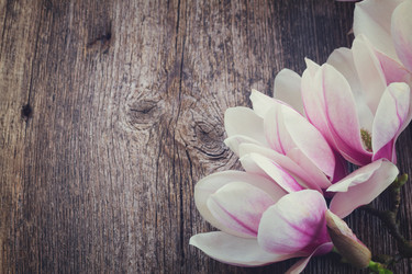 Similar image 11143706