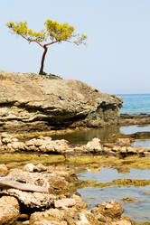 Similar image 10961105