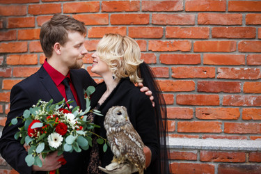 Similar image 10992912