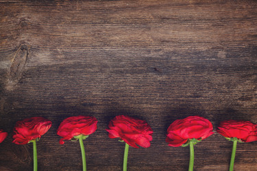 Similar image 11143945