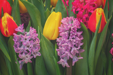 Similar image 11142566