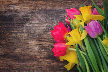 Similar image 11142567