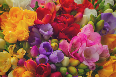 Similar image 11142643