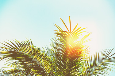 Similar image 11143983