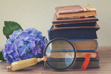 Similar image 11143843