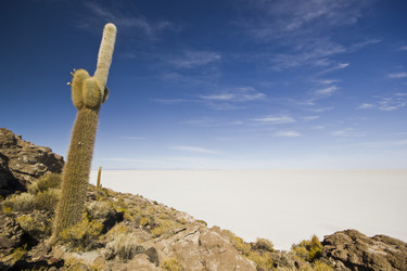 Similar image 11280379