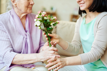 Similar image 11045241