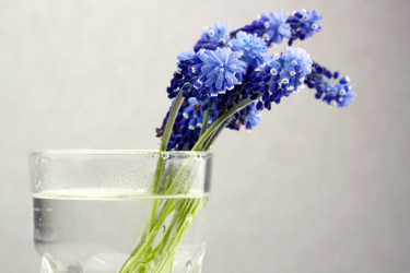 Similar image 10959441