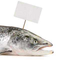 Similar image 11144047