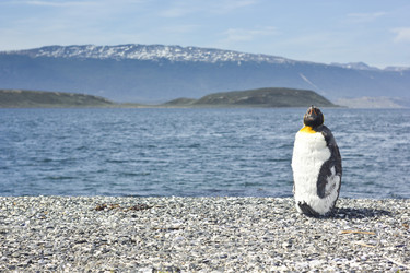 Similar image 11280662