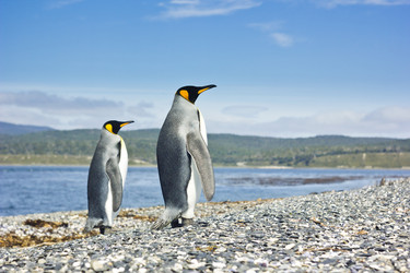 Similar image 11280663