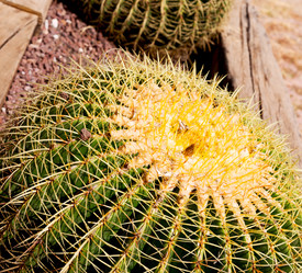 Similar image 10961048