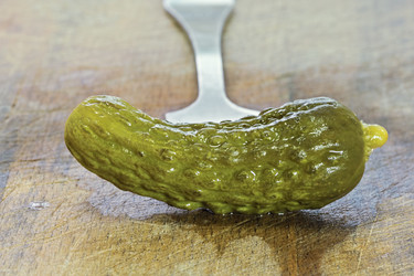 Similar image 10959932