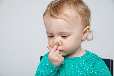 Similar image 10964513