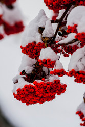 Similar image 11052488