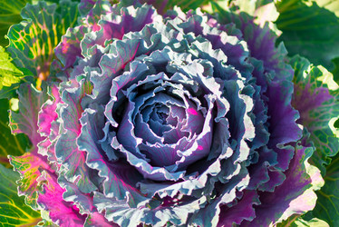 Similar image 10962410