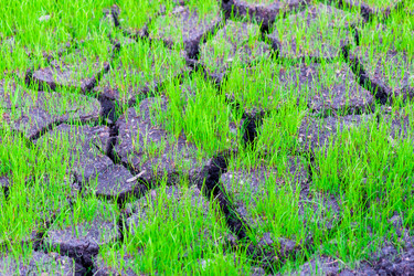 Similar image 10962441