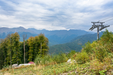 Similar image 10959892