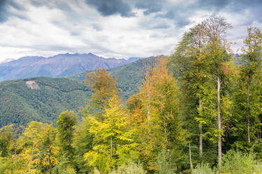 Similar image 10959846