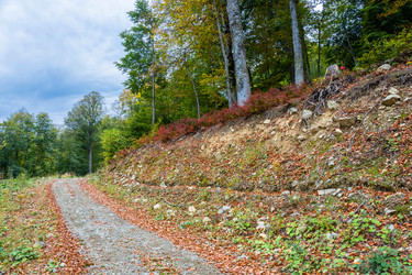 Similar image 10959847