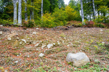 Similar image 10959848