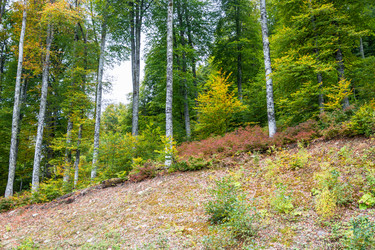 Similar image 10959849