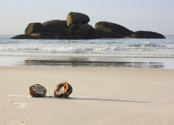 Similar image 11280393