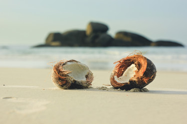 Similar image 11280394