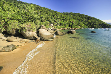 Similar image 11280523