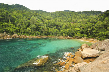 Similar image 11280420