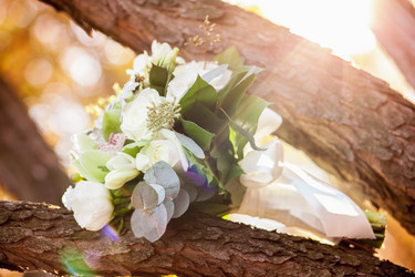 Similar image 11047402