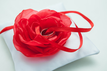 Similar image 11047437