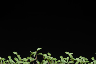 Similar image 10959327