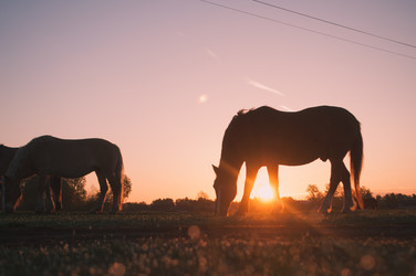 Similar image 10959343