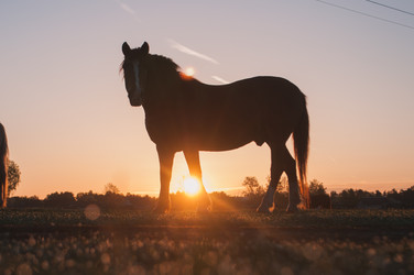 Similar image 10959344