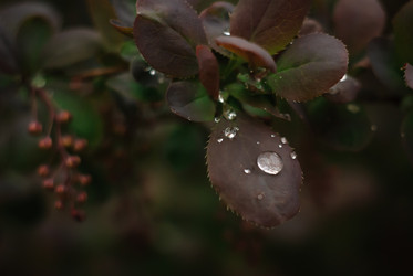 Similar image 10959330