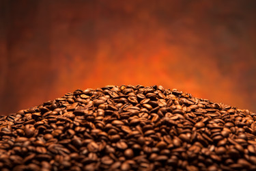 Similar image 10960044