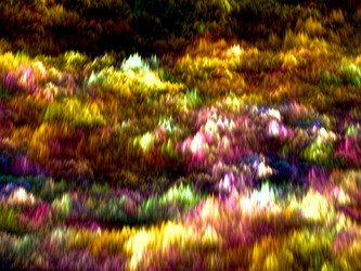 Similar image 10959949