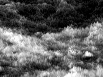 Similar image 10959951