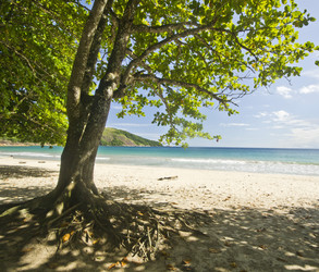 Similar image 11280600